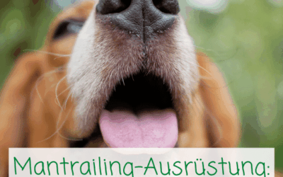 Was braucht man wirklich? Die Mantrailing-Ausrüstung