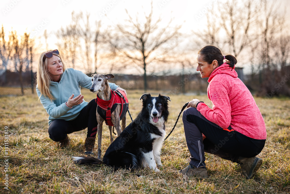 AdobeStock_1311581819_Preview