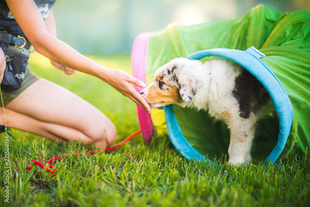AdobeStock_271508156_Preview