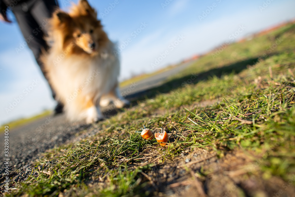 AdobeStock_332808000_Preview