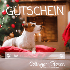 gutschein-solinger-pfoten