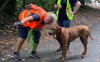 Wieso Hund & Mensch Mantrailing lieben