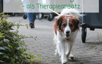 Mantrailing als Therapieansatz