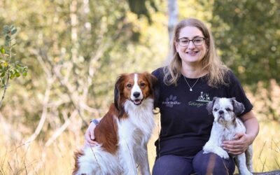 Jahresrückblick 2020: Mein Weg & Warum