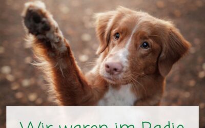 Solinger-Pfoten im Radio-Interview