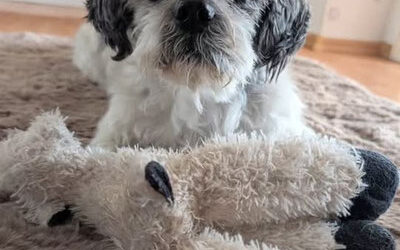 Ein Blick zurück ins Jahr 2025