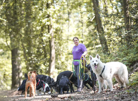 Gassi Service versus Hundetagesstätte