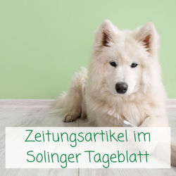 Zeitungsartikel im Solinger Tageblatt