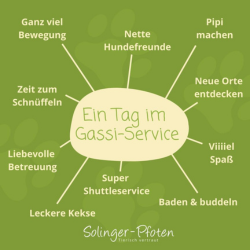 Das erlebt und lernt dein Hund im Gassi-Service – Teil 2