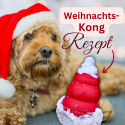 Weihnachtliches Kong-Rezept zum Nachmachen