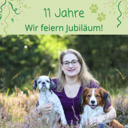 10 Jahre Solinger-Pfoten – Wir feiern Jubiläum!