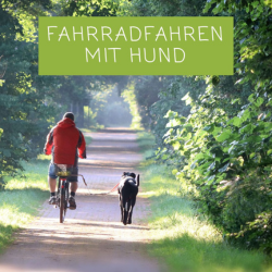 Fahrradfahren mit Hund – so klappt’s stressfrei und sicher